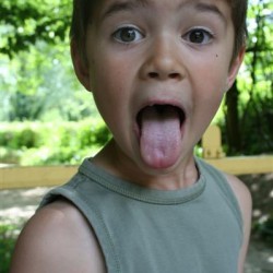 IMG 0781  Medium - Scouts en Gidsen Zaventem 